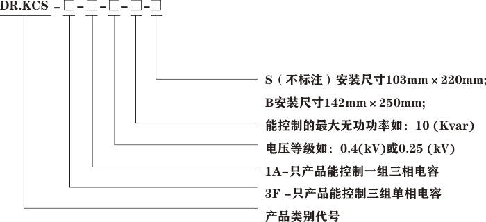 DR-KCS容性無觸點開(kāi)關型号含義.jpg